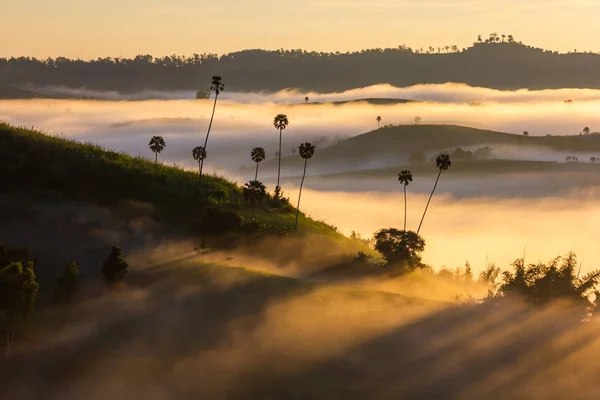 Wunderschöner Sonnenaufgang Und Der Nebel Bei Khao Kho Provinz Phetchabun — Stockfoto