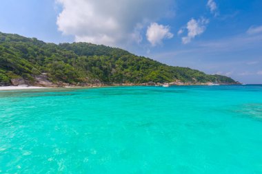 Similan Adaları Güzel tropikal kumlu plaj ve tropikal bir adada yemyeşil yeşillik, Tayland
