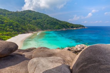 Similan Adaları Güzel tropikal kumlu plaj ve tropikal bir adada yemyeşil yeşillik, Tayland