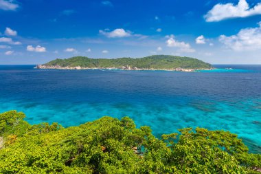 Similan Adaları Güzel tropikal kumlu plaj ve tropikal bir adada yemyeşil yeşillik, Tayland