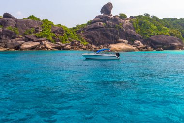 Similan Adaları Güzel tropikal kumlu plaj ve tropikal bir adada yemyeşil yeşillik, Tayland
