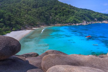 Similan Adaları Güzel tropikal kumlu plaj ve tropikal bir adada yemyeşil yeşillik, Tayland