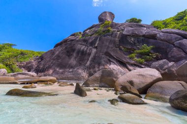 Similan Adaları Güzel tropikal kumlu plaj ve tropikal bir adada yemyeşil yeşillik, Tayland