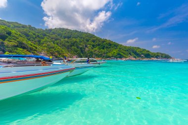 Similan Adaları Güzel tropikal kumlu plaj ve tropikal bir adada yemyeşil yeşillik, Tayland