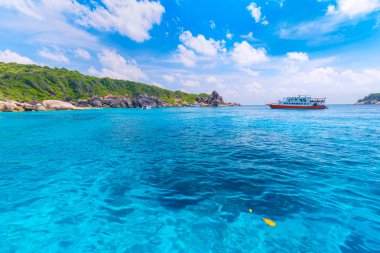 Similan Adaları Güzel tropikal kumlu plaj ve tropikal bir adada yemyeşil yeşillik, Tayland