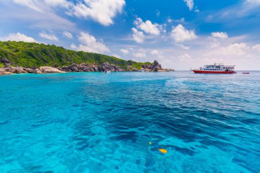 Similan Adaları Güzel tropikal kumlu plaj ve tropikal bir adada yemyeşil yeşillik, Tayland
