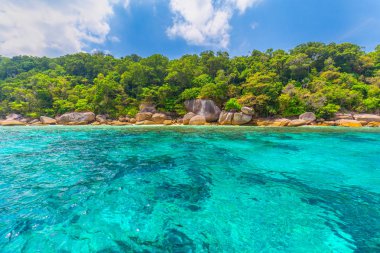 Similan Adaları Güzel tropikal kumlu plaj ve tropikal bir adada yemyeşil yeşillik, Tayland