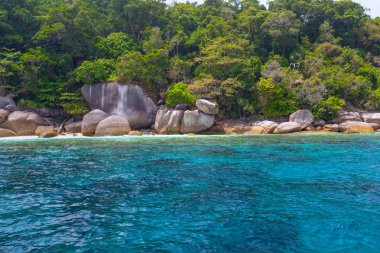 Similan Adaları Güzel tropikal kumlu plaj ve tropikal bir adada yemyeşil yeşillik, Tayland