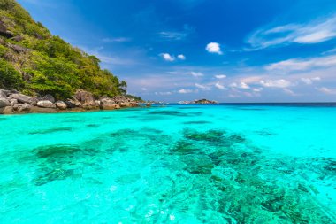 Similan Adaları Güzel tropikal kumlu plaj ve tropikal bir adada yemyeşil yeşillik, Tayland
