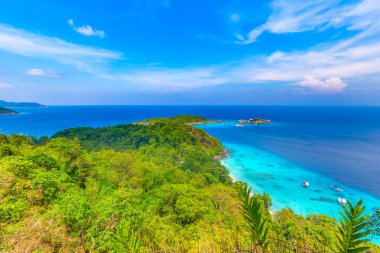 Similan Adaları Güzel tropikal kumlu plaj ve tropikal bir adada yemyeşil yeşillik, Tayland