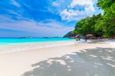 Similan Adaları Güzel tropikal kumlu plaj ve tropikal bir adada yemyeşil yeşillik, Tayland