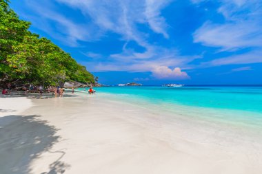 Similan Adaları Güzel tropikal kumlu plaj ve tropikal bir adada yemyeşil yeşillik, Tayland
