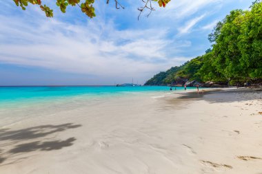 Similan Adaları Güzel tropikal kumlu plaj ve tropikal bir adada yemyeşil yeşillik, Tayland