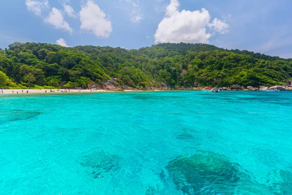 Similan Adaları Güzel Tropikal Kumlu Plaj Tropikal Bir Adada Yemyeşil — Stok fotoğraf