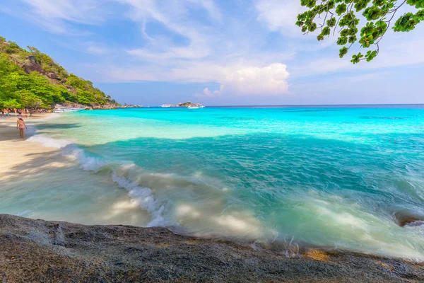 Islas Similares Hermosa Playa Tropical Arena Exuberante Follaje Verde Una — Foto de Stock