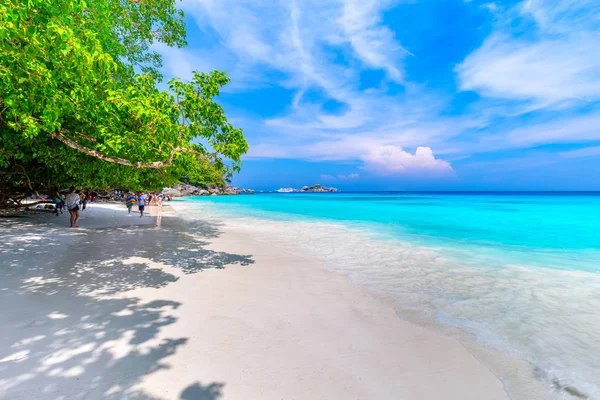 Similan Adaları Güzel tropikal kumlu plaj ve tropikal bir adada yemyeşil yeşillik, Tayland