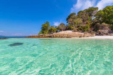 Lipe Adası Tayland 'da mercan resifli, tropikal bir deniz. 