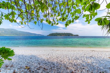 lipe adası tayland Palmiye ağaçları ile güzel beyaz kum plaj