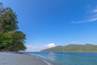 lipe adası tayland Palmiye ağaçları ile güzel beyaz kum plaj