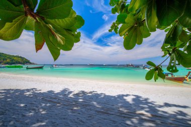 lipe adası tayland Palmiye ağaçları ile güzel beyaz kum plaj
