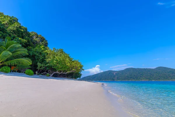 Красивий Білий Піщаний Пляж Пальмами Липі Острів Таїланду — стокове фото
