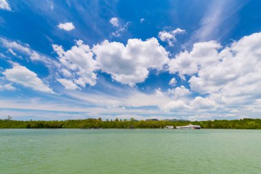 Güzel gökyüzü, Tayland tatil açık deniz ve Mangrove ormanları