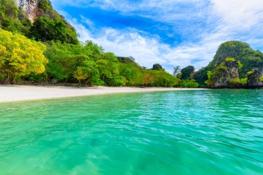 Hong Adaları, Güzel tropikal kumlu plaj ve tropikal bir adada yemyeşil yeşillik, Tayland