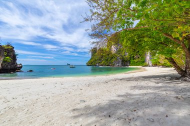 Hong Adaları, Güzel tropikal kumlu plaj ve tropikal bir adada yemyeşil yeşillik, Tayland
