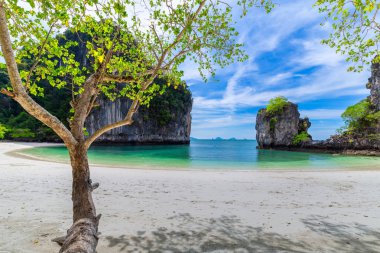 Hong Islands,Beautiful tropical sandy beach and lush green foliage on a tropical island ,Thailand clipart