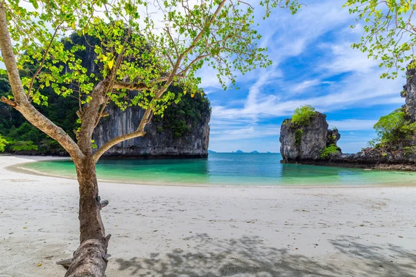 Hong Islands Vacker Tropisk Sandstrand Och Grönskande Lövverk Tropisk Thailand — Stockfoto