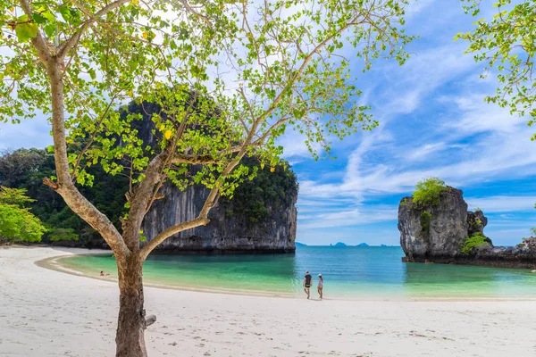 Hong Adaları, Güzel tropikal kumlu plaj ve tropikal bir adada yemyeşil yeşillik, Tayland