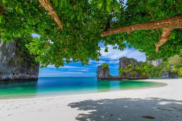 Hong Islands Vacker Tropisk Sandstrand Och Grönskande Lövverk Tropisk Thailand — Stockfoto