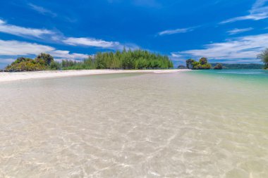Güzel kumlu plajları ve Krabi Tayland Paradise Islandat çam ağacı manzarası