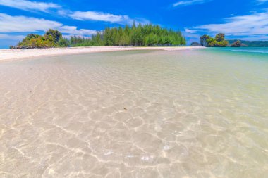 Güzel kumlu plajları ve Krabi Tayland Paradise Islandat çam ağacı manzarası
