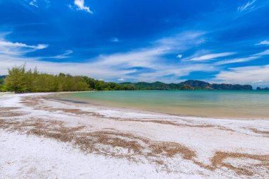 Güzel kumlu plajları ve Krabi Tayland Paradise Islandat çam ağacı manzarası