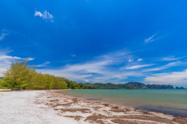 Güzel kumlu plajları ve Krabi Tayland Paradise Islandat çam ağacı manzarası