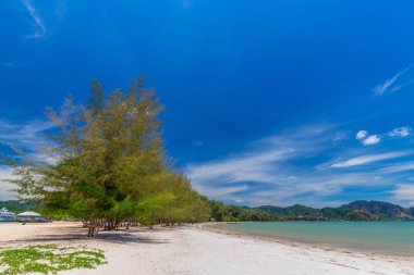 Güzel kumlu plajları ve Krabi Tayland Paradise Islandat çam ağacı manzarası