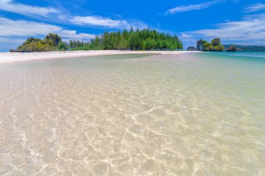 Güzel kumlu plajları ve Krabi Tayland Paradise Islandat çam ağacı manzarası