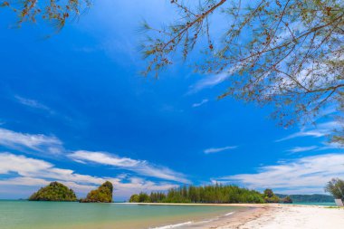 Güzel kumlu plajları ve Krabi Tayland Paradise Islandat çam ağacı manzarası