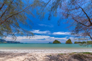 Güzel kumlu plajları ve Krabi Tayland Paradise Islandat çam ağacı manzarası