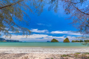 Güzel kumlu plajları ve Krabi Tayland Paradise Islandat çam ağacı manzarası