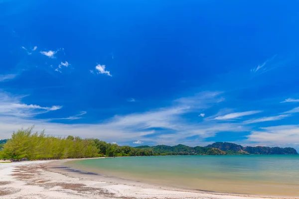 Песчаные Пляжи Вид Сосновые Деревья Острове Парадизе Таиланде — стоковое фото