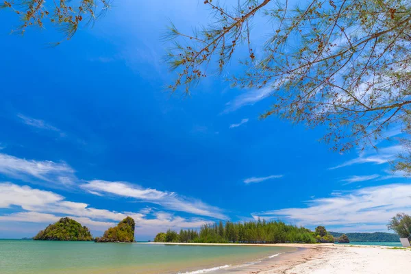 Schöne Sandige Strände Und Pinienbäume Blick Auf Paradies Islandin Krabi — Stockfoto