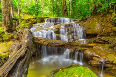 Tropikal Yağmur ormanlarında Şelale ,Pa Wai Şelalesi,Tak Province, Tayland