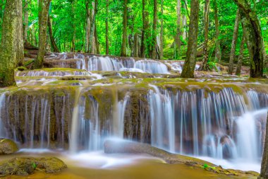 Tropikal Yağmur ormanlarında Şelale ,Pa Wai Şelalesi,Tak Province, Tayland
