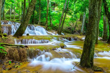 Tropikal Yağmur ormanlarında Şelale ,Pa Wai Şelalesi,Tak Province, Tayland
