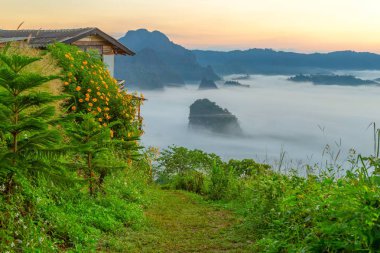Dağ manzarası ve Phu Langka Milli Parkı güzel Sis, Tayland