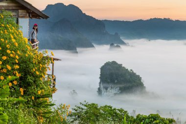Dağ manzarası ve Phu Langka Milli Parkı güzel Sis, Tayland
