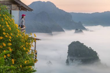 Dağ manzarası ve Phu Langka Milli Parkı güzel Sis, Tayland