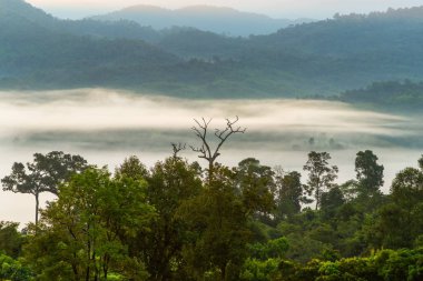 Dağ manzarası ve Phu Langka Milli Parkı güzel Sis, Tayland